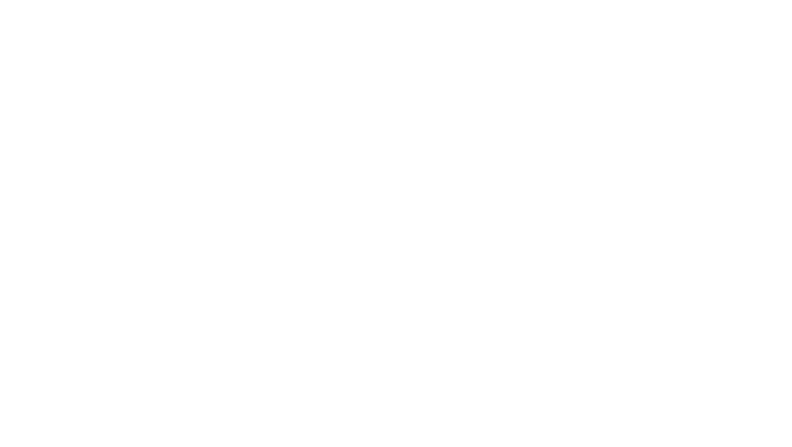 Viral Corporation